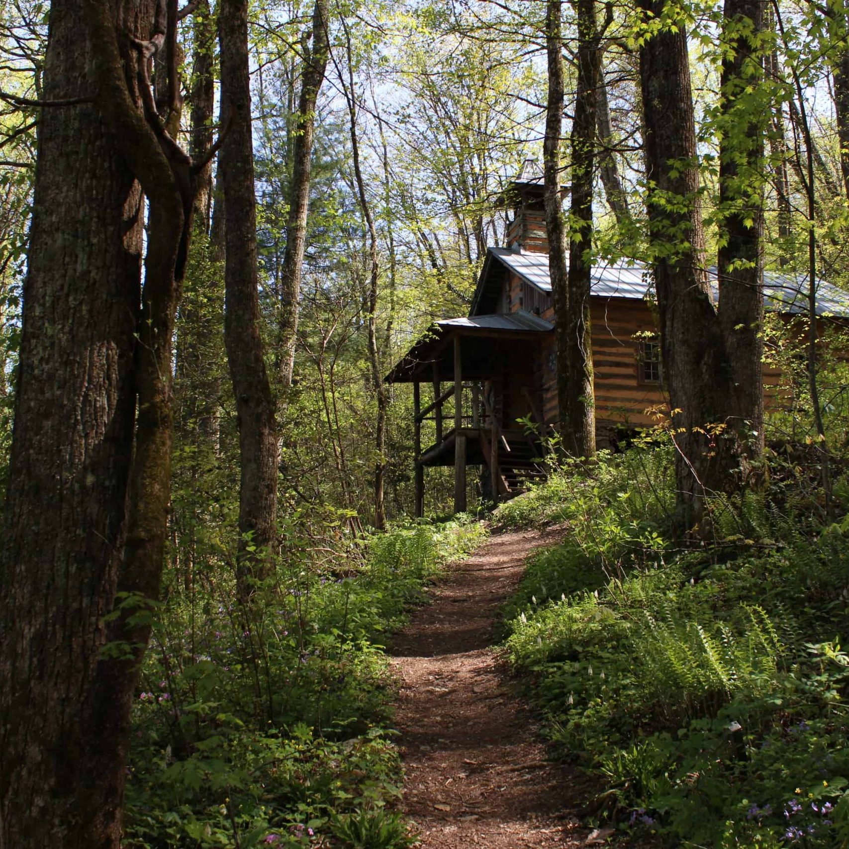 Wooden treehouse on stilts tucked among tall trees, with a dirt path leading through a sunlit forest. - Clayton, GA