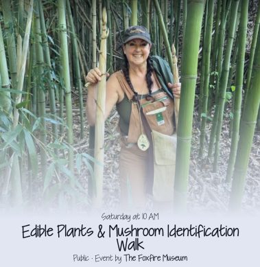 Smiling woman in a cap stands among dense bamboo, holding bamboo stalks in a forest setting; event poster text below mentions an edible plants and mushroom identification walk. - Clayton, GA