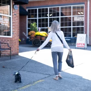 Woman Walking A Small Dog Through A Shop Courtyard — Clayton, Georgia