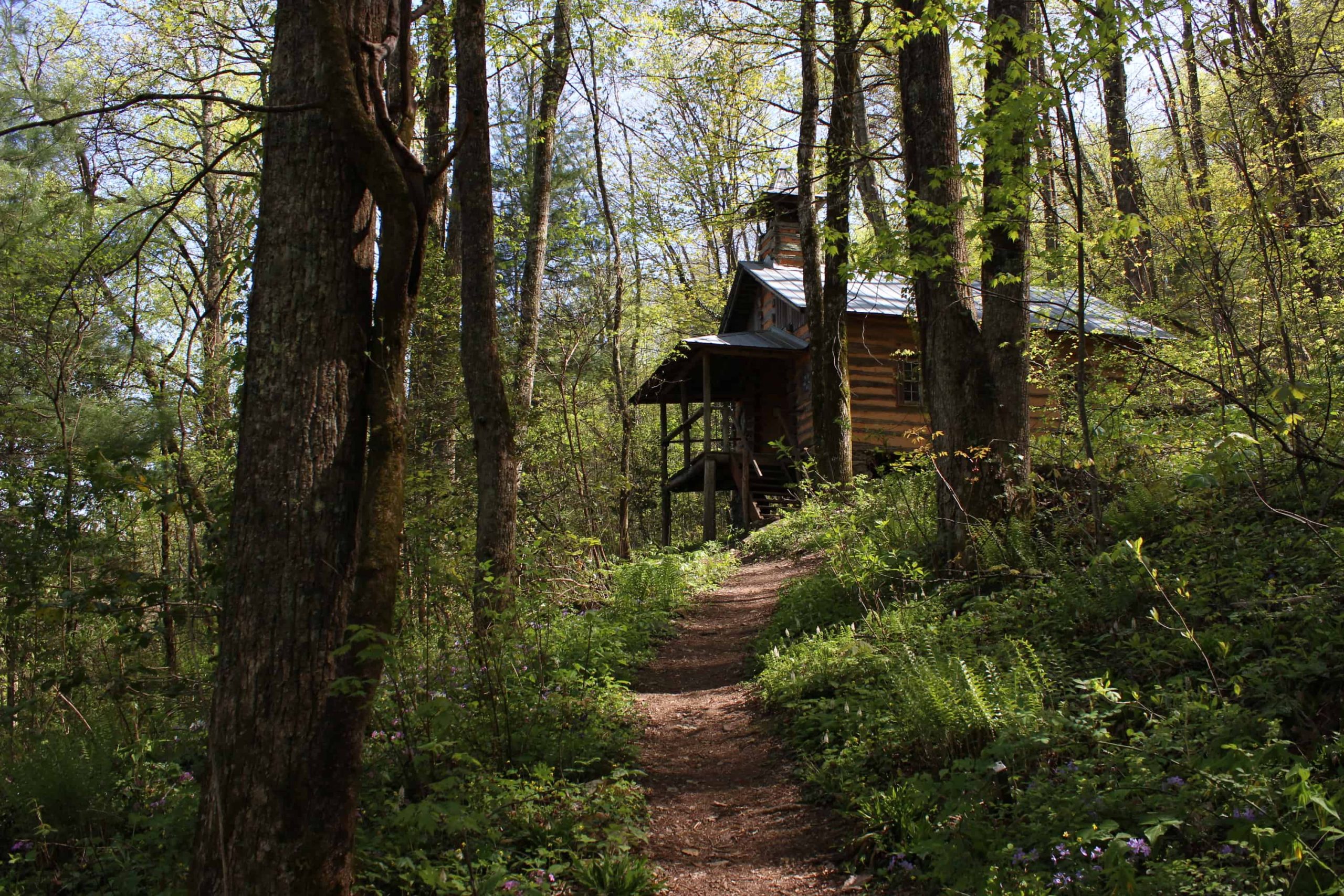 Wooden treehouse on stilts tucked among tall trees, with a dirt path leading through a sunlit forest. - Clayton, GA