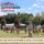 Promotional banner for Foxfire Mountaineer Festival with people in a sack race on a green field; date is October 3, 2026 in Clayton, GA.
