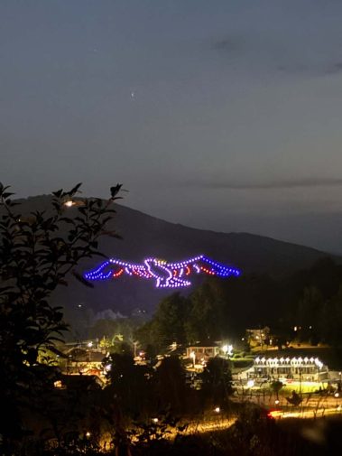 Decorative light sculpture in the shape of a blue and purple bird flying over a hillside town at night.