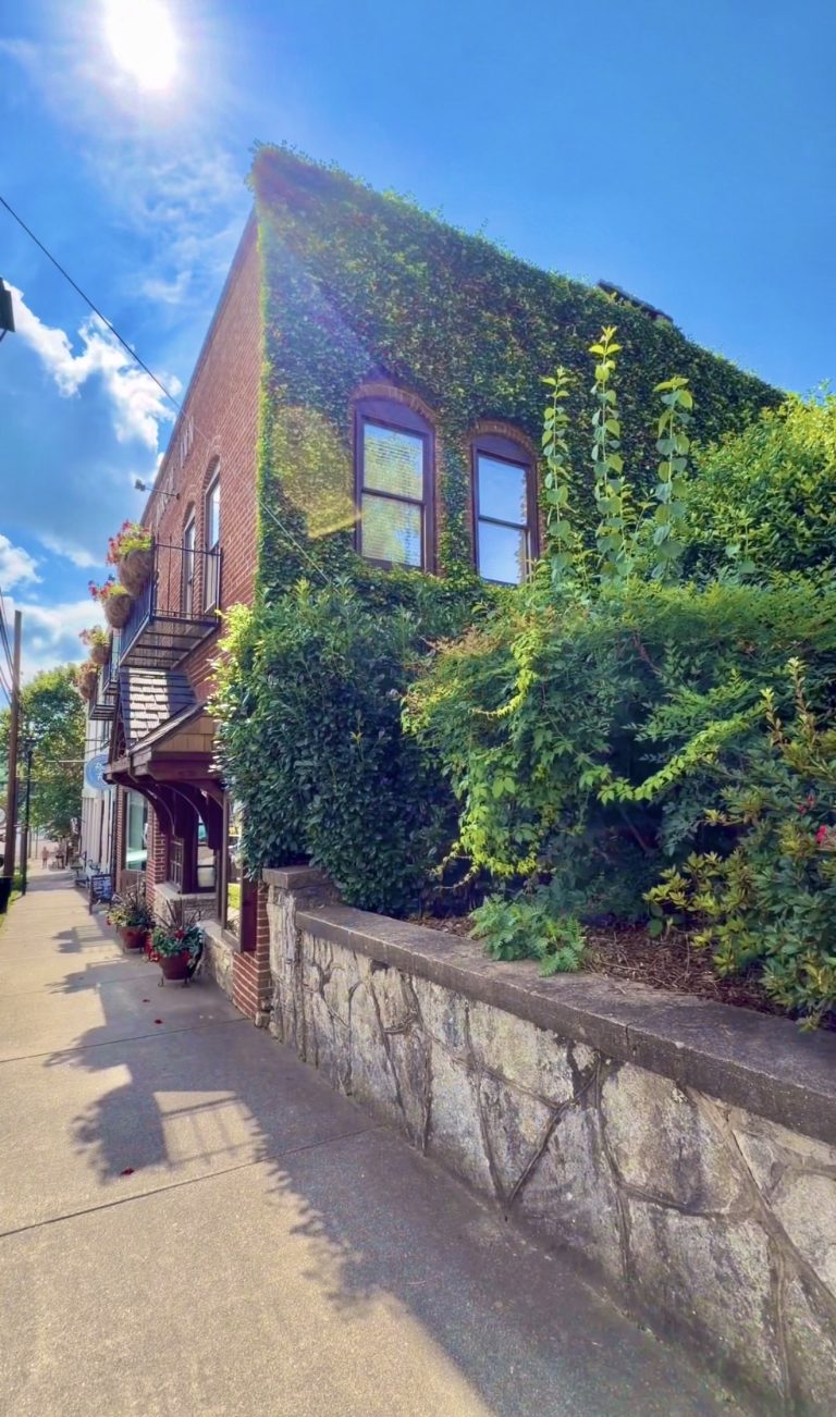 Brick building fully covered in green ivy along a sunny city sidewalk, with a stone retaining wall and potted plants nearby.